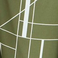geometric lines olive