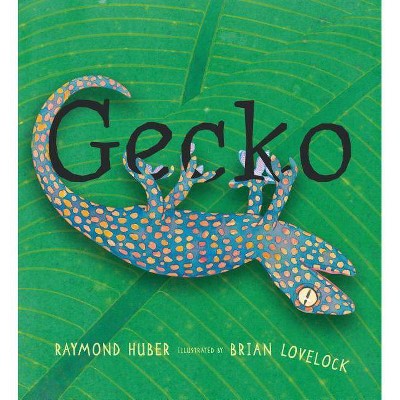 Gecko - by  Raymond Huber (Hardcover)