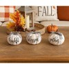 Transpac Resin Buffalo Check Pumpkin Set of 3 Fall Harvest Home Decorations for Autumn Thanksgiving Decor - 3 of 3