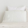 Makemake Organics GOTS Certified Organic Cotton Pillowcase - Ultra Soft Breathable Fits (14"x19", Dotty) Set of 2 - 2 of 4