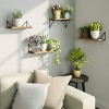 Sriracha Floating Shelves Wall Mounted, Rustic Wall Shelves for Bedroom, Bathroom, Living Room, Kitchen Set of 3 (Carbonized Black) - 2 of 3