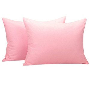 2 Pack Brushed Microfiber Zippered Toddler Pillowcases, Super Soft and Cozy Travel Pillow Cases - NTBAY - 1 of 4