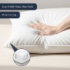 Delara Throw Pillow Inserts Set of 2, Organic Cotton Shell, 7D Recycled Down Alternative Fill - 4 of 4