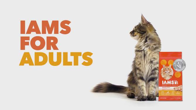 IAMS Proactive Health with Chicken Kitten Premium Dry Cat Food, 2 of 15, play video
