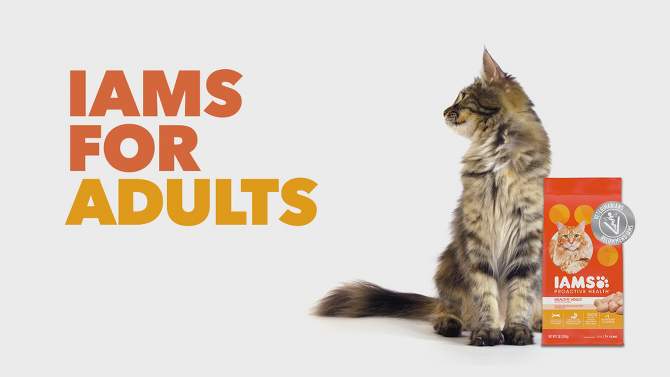 IAMS Proactive Health with Chicken Kitten Premium Dry Cat Food, 2 of 14, play video
