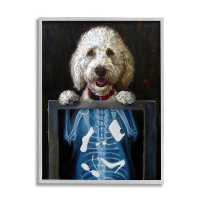 Stupell Industries Funny Dog X-Ray Snacks Framed Giclee
