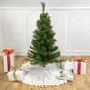 Northlight 3' Black River Pine Artificial Medium Profile Christmas Tree, Unlit - 2 of 4