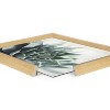 Kate and Laurel Blake Radical Succulent Framed Printed Glass by Emiko and Mark Franzen of F2Images, 18x24, Natural - 3 of 4