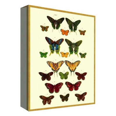 11" x 14" Butterfly Collection II Decorative Wall Art - PTM Images