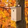 WILDLIFE FRIEND I Nesting Box with Metal Roof - Solid Wood for Blue Tits - 2 of 4