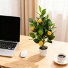 2Pcs Artificial Potted Plants 20 Inch Fake Lemon Tree, Artificial Lemons Citrus Tree with White Pot, Faux Lemons Indoor for Office Table Desk Home - 4 of 4
