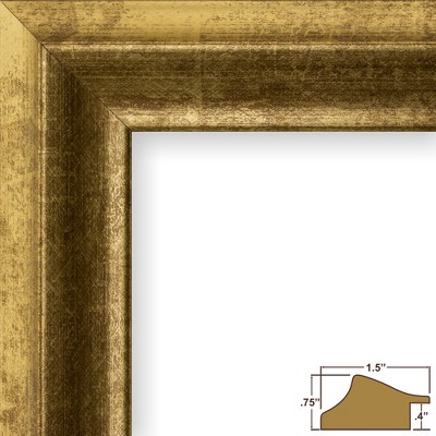 Verandah 203 Siena Vintage 19x25 inch Picture Frame : Target