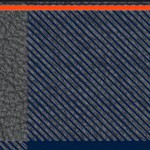 houston astros