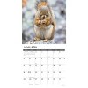 Willow Creek Press 12"x12" 2026 Squirrels Wall Calendar - 3 of 4