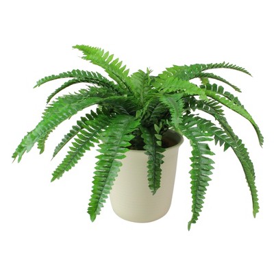 Northlight 24" Boston Fern Artificial Potted Plant - Green/White