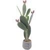 42" Artificial Cactus Plant – Realistic Large Potted Cactus, Low Maintenance, Indoor Outdoor Decorative Greenery for Home, Office, Garden - 3 of 4