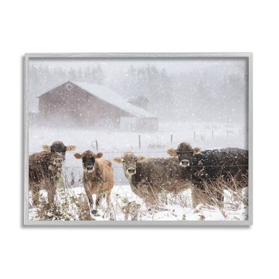 Stupell Industries Winter Farm Scene Cow Cattle Snowflakes Barn Black Framed Giclee Art