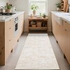 Coucheta Non-Slip Runner Rug,Machine Washable Low Pile Area Rug with Non-Shedding, for Hallway Kitchen Bathroom,Multi-Color & Size - 3 of 4