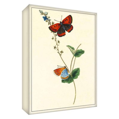 11" x 14" Butterfly Nature I Decorative Wall Art - PTM Images