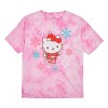 Hello Kitty Christmas Snowflakes Women's Pink Cloud Wash Crew Neck Short Sleeve T-shirt - 4 of 4