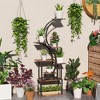Aghana Digitals 8-Tier S-Shaped Indoor Plant Stand, 62" Carbonised Corner Shelf for Multiple - 2 of 4