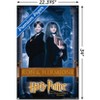 Trends International Harry Potter and the Philosopher's Stone - Ron & Hermione Unframed Wall Poster Prints - 3 of 4