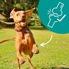 Buddy Biscuits Chicken Hip & Joint Chews Dog Treats - 5oz - 4 of 4