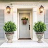 23in Artificial Eucalyptus Trees with Ground Spike for Outdoor-Fake Topiary Ball Trees Artificial Plant Brush for Indoor Outdoor Set of 2 Decor Decor - 2 of 4