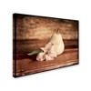 24" x 32" Kitchen Pear 2 by LightBoxJournal - Trademark Fine Art: Gallery-Wrapped Canvas, Modern Wall Decor - 2 of 4