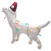 Northlight LED Lighted Dachshund Dog in Santa Hat Outdoor Christmas Decoration - 32" - Multicolor - 4 of 4