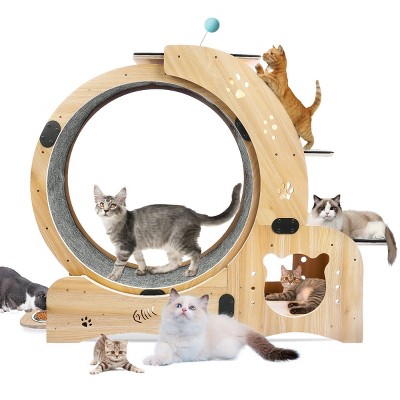 6-in-1 Wooden Cat Exercise Wheel with Feeding Station and with Silent Wheel,Indoor Cat Activity Center – LAOTIES