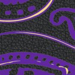 orlando city soccer club