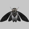 Men's Design By Humans Monochrome Cicada By Realkey T-Shirt - 2 of 4
