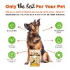 Nutri Chomps Assorted Flavor with Chicken, Peanut Butter and Milk Braids Dog Treats - 4ct/5.64oz - 4 of 4