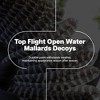 Avian X Topflight Mallards Open Water, Pack of 6 Floating Decoys - 2 of 2