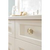 Amerock St. Vincent Cabinet or Furniture Knob - 2 of 2