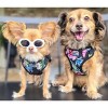 Doggie Design Wrap and Snap Choke Free Dog Harness - Paradise Nights - 4 of 4
