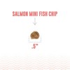 Icelandic+ Mini Fish Chips: Salmon 2.5oz - Dog Treats For Training & Small Dogs - 4 of 4