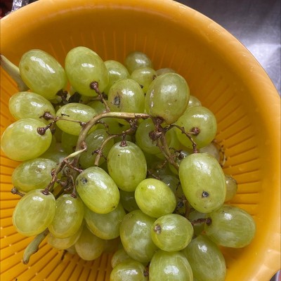 Guest review image 1 of 1, zoom in