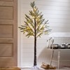 The Lakeside Collection Lighted Holiday Trees - 48"H - 2 of 2