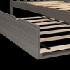 Max & Lily Twin Trundle Bed - 4 of 4
