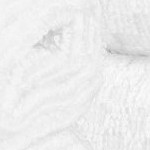 white-white
