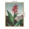 Amanti Art Temple of Flora I by Dr. robert j. Thornton Framed Canvas Wall Art - 3 of 4