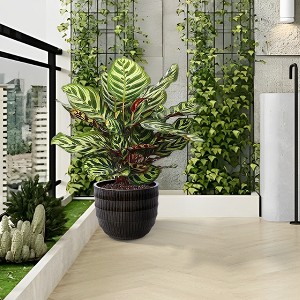 MAYEERTY Set of 4 Fluted Ceramic Flowerpot Modern Planter Dark Coffee for Patio Garden Windowsill - 1 of 4