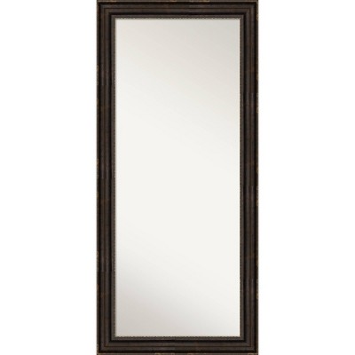 30" x 66" Non-Beveled Stately Bronze Full Length Floor Leaner Mirror - Amanti Art: Tall, Rectangular, Polystyrene Frame