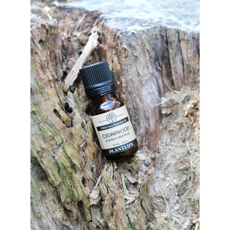 Plantlife Cedarwood Essential Oil – 100% Pure & Therapeutic Grade – Natural, Undiluted & Steam-Distilled – No Additives or Filters – 10ml Aromatherapy, 3 of 3