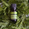 Plantlife Parsley Herb Aromatherapy Essential Oil – 100% Pure, Therapeutic Grade, No Additives or Fillers, Made in California, 10 ml - 3 of 3