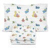 Saturday Park Sesame Street 100% Organic Cotton Kids Sheet Set - image 3 of 4