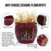Dolonm Set of 3 Ceramic Planter Set with Drainage - Frost Resistant Planter for Indoor Use - 2 of 4