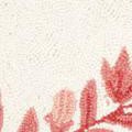 ivory/rose